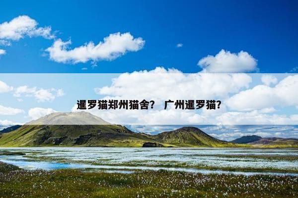 暹罗猫郑州猫舍？ 广州暹罗猫？