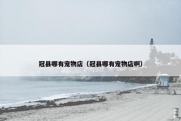 冠县哪有宠物店（冠县哪有宠物店啊）