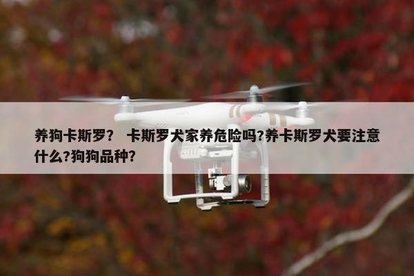 养狗卡斯罗？ 卡斯罗犬家养危险吗?养卡斯罗犬要注意什么?狗狗品种？