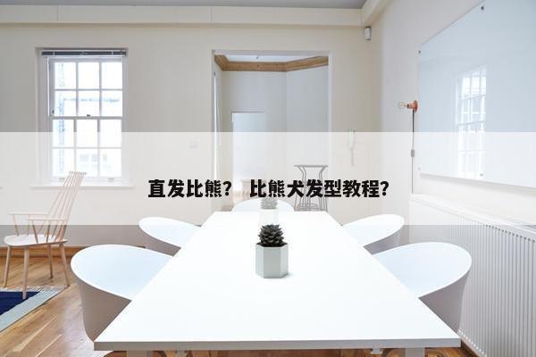 直发比熊? 比熊犬发型教程?