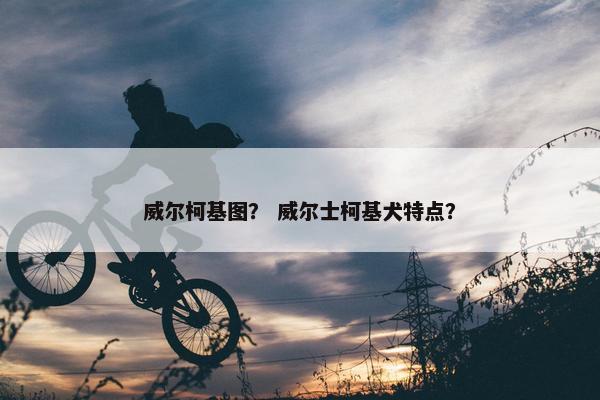 威尔柯基图? 威尔士柯基犬特点?