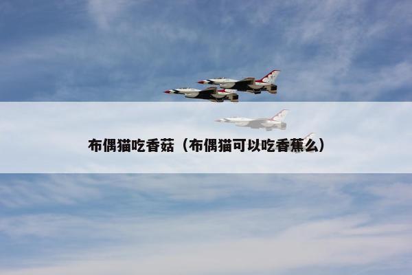 布偶猫吃香菇（布偶猫可以吃香蕉么）