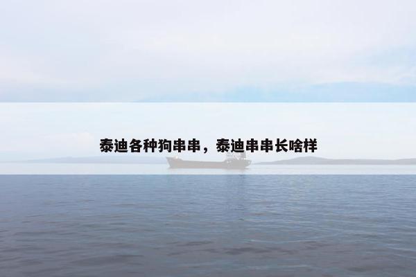 泰迪各种狗串串，泰迪串串长啥样