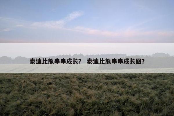 泰迪比熊串串成长？ 泰迪比熊串串成长图？