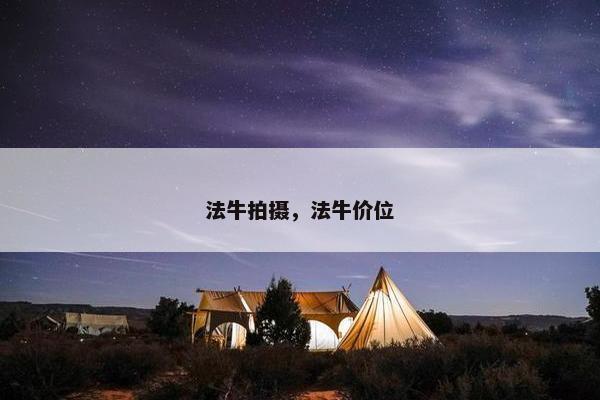 法牛拍摄，法牛价位
