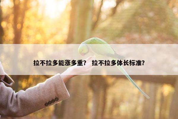 拉不拉多能涨多重? 拉不拉多体长标准?