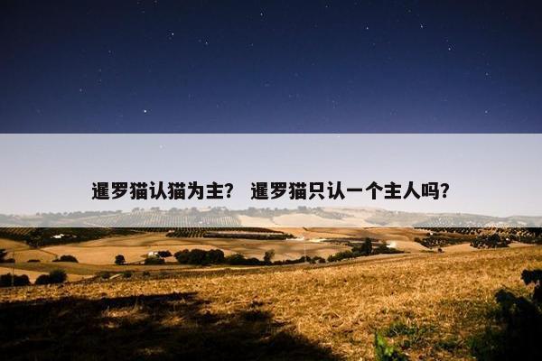 暹罗猫认猫为主？ 暹罗猫只认一个主人吗？