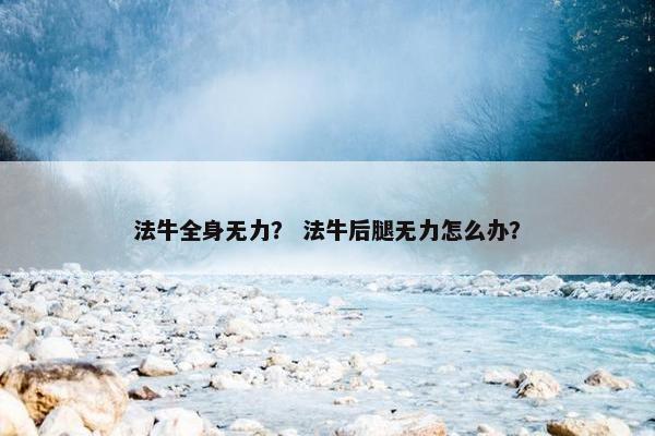法牛全身无力？ 法牛后腿无力怎么办？