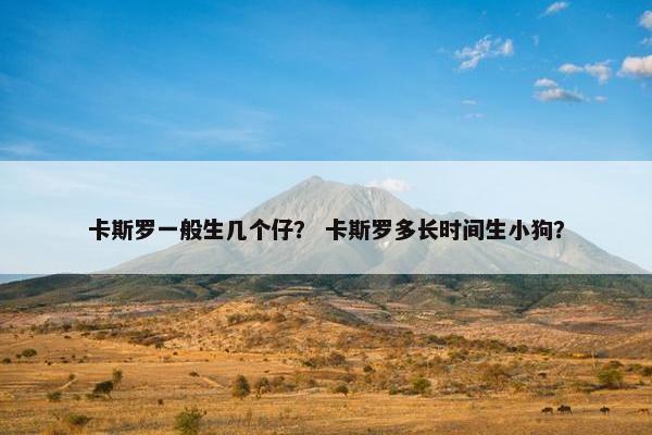 卡斯罗一般生几个仔？ 卡斯罗多长时间生小狗？