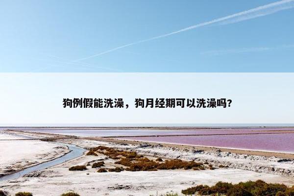 狗例假能洗澡，狗月经期可以洗澡吗?