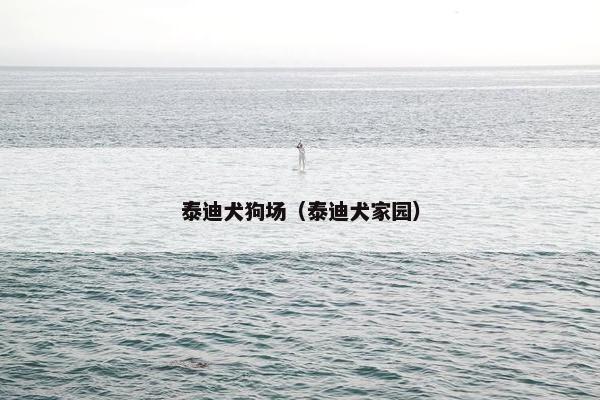 泰迪犬狗场(泰迪犬家园)