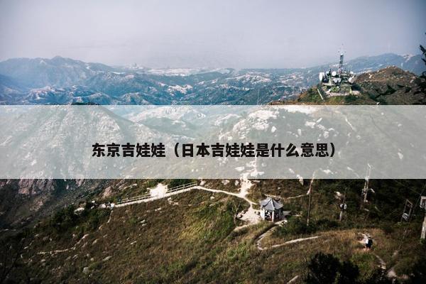东京吉娃娃（日本吉娃娃是什么意思）