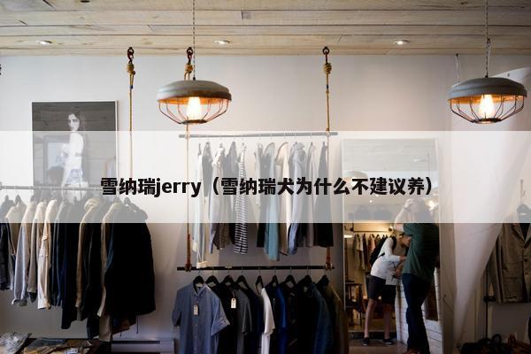 雪纳瑞jerry（雪纳瑞犬为什么不建议养）