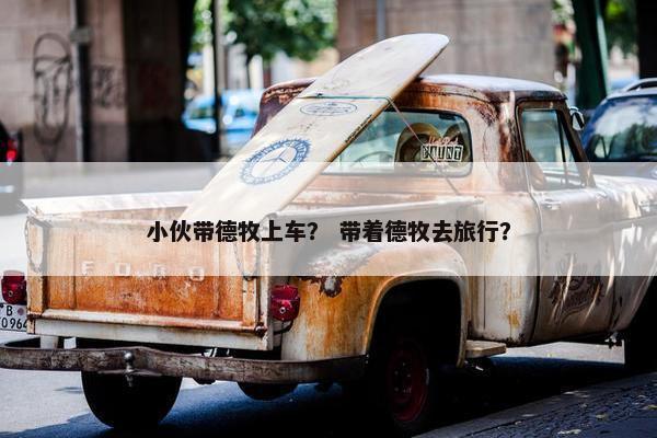 小伙带德牧上车？ 带着德牧去旅行？