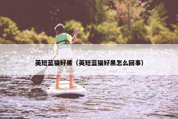 英短蓝猫好黑（英短蓝猫好黑怎么回事）