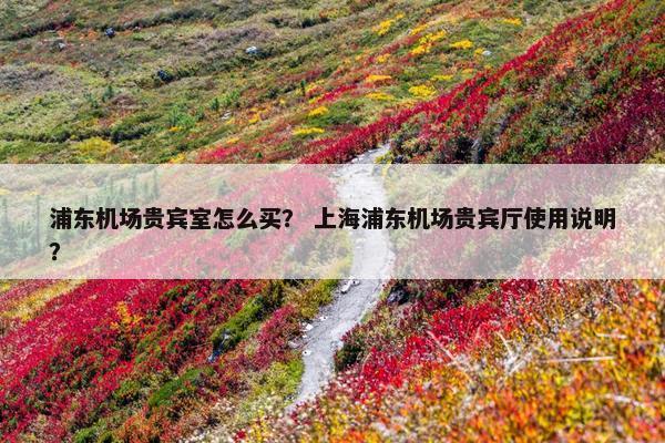 浦东机场贵宾室怎么买？ 上海浦东机场贵宾厅使用说明？