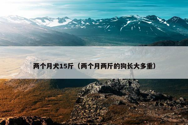 两个月犬15斤(两个月两斤的狗长大多重)