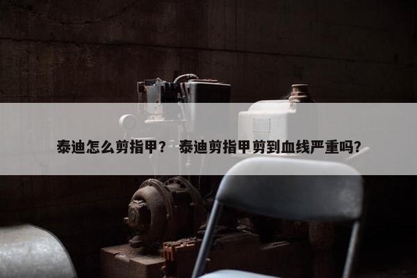 泰迪怎么剪指甲？ 泰迪剪指甲剪到血线严重吗？