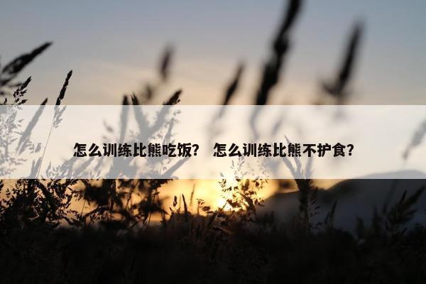怎么训练比熊吃饭？ 怎么训练比熊不护食？