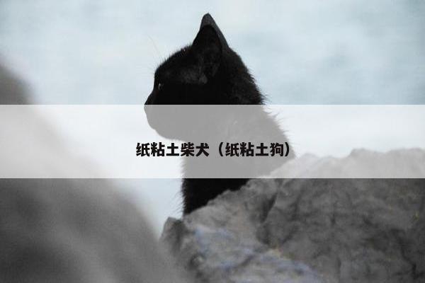 纸粘土柴犬（纸粘土狗）