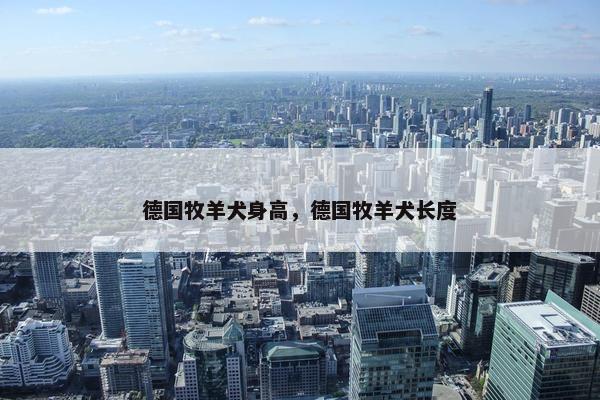 德国牧羊犬身高,德国牧羊犬长度 德国牧羊犬身高,德国牧羊犬长度