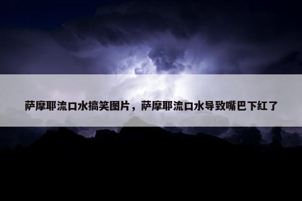 萨摩耶流口水搞笑图片，萨摩耶流口水导致嘴巴下红了