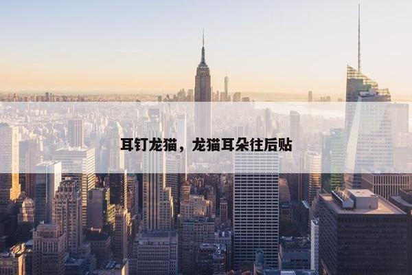 耳钉龙猫,龙猫耳朵往后贴 耳钉龙猫,龙猫耳朵往后贴