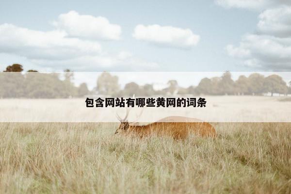包含网站有哪些黄网的词条