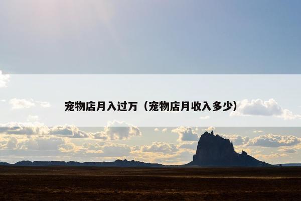 宠物店月入过万（宠物店月收入多少）