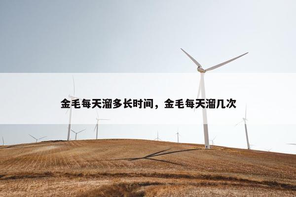 金毛每天溜多长时间，金毛每天溜几次