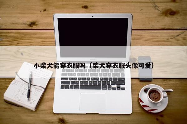 小柴犬能穿衣服吗（柴犬穿衣服头像可爱）