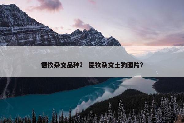 德牧杂交品种？ 德牧杂交土狗图片？