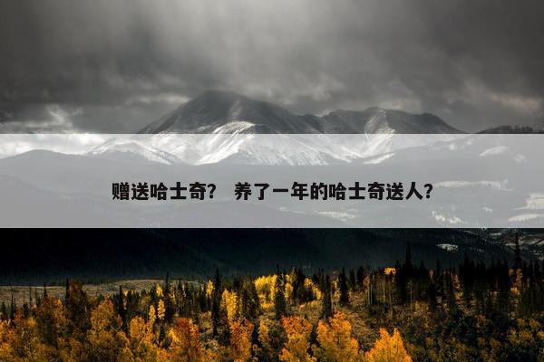 赠送哈士奇？ 养了一年的哈士奇送人？