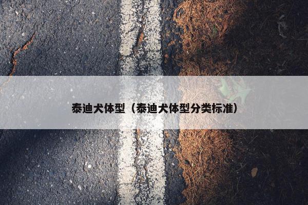 泰迪犬体型（泰迪犬体型分类标准）