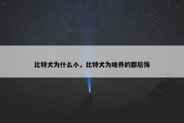 比特犬为什么小，比特犬为啥养的都后悔