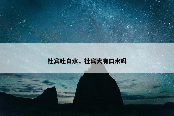杜宾吐白水，杜宾犬有口水吗