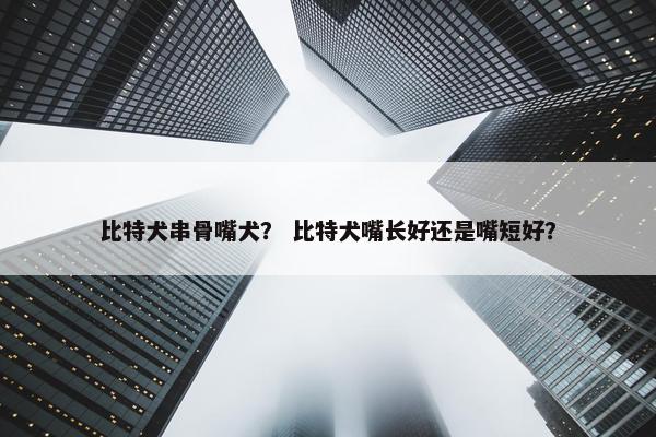 比特犬串骨嘴犬？ 比特犬嘴长好还是嘴短好？