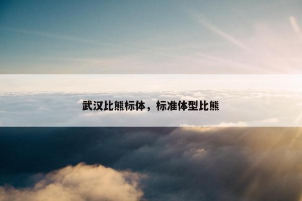 武汉比熊标体，标准体型比熊