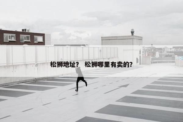 松狮地址？ 松狮哪里有卖的？