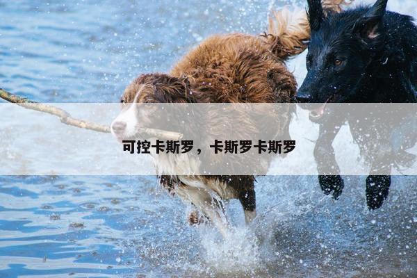 可控卡斯罗，卡斯罗卡斯罗