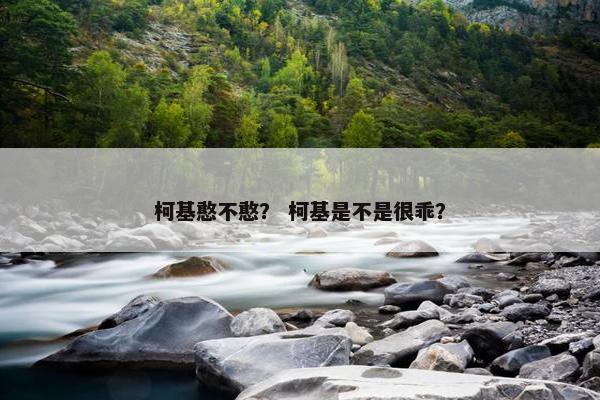 柯基憨不憨？ 柯基是不是很乖？