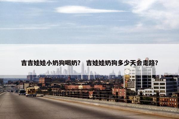 吉吉娃娃小奶狗喝奶？ 吉娃娃奶狗多少天会走路？