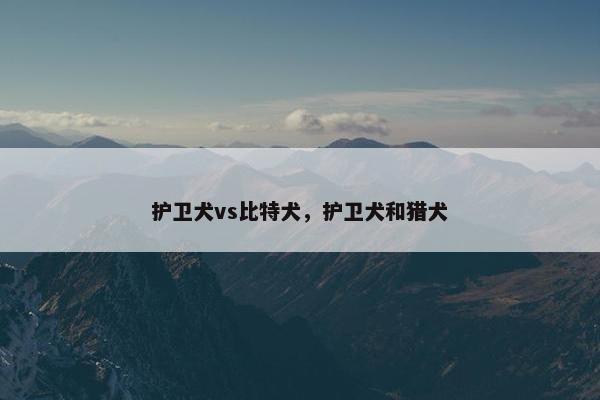 护卫犬vs比特犬，护卫犬和猎犬