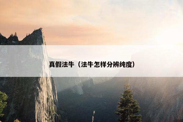 真假法牛（法牛怎样分辨纯度）