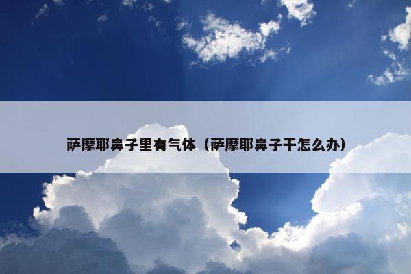 萨摩耶鼻子里有气体（萨摩耶鼻子干怎么办）