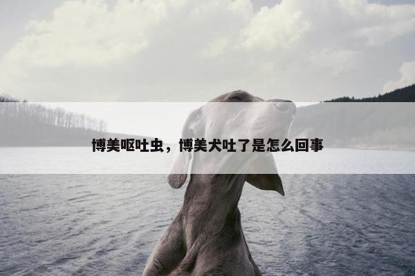 博美呕吐虫，博美犬吐了是怎么回事