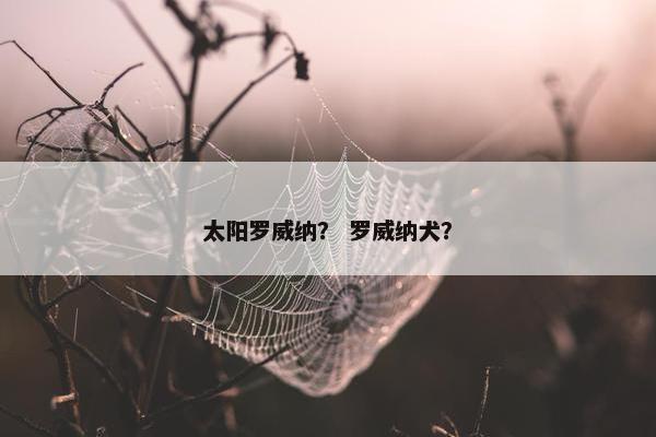 太阳罗威纳？ 罗威纳犬？