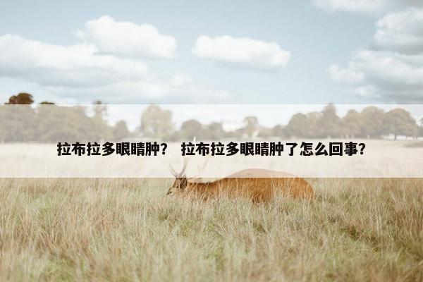 拉布拉多眼睛肿？ 拉布拉多眼睛肿了怎么回事？