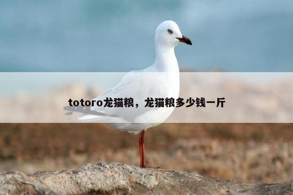 totoro龙猫粮，龙猫粮多少钱一斤