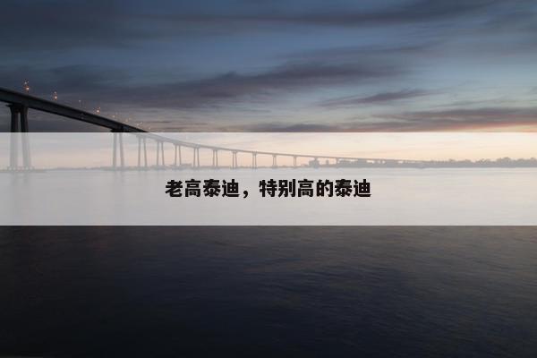 老高泰迪，特别高的泰迪